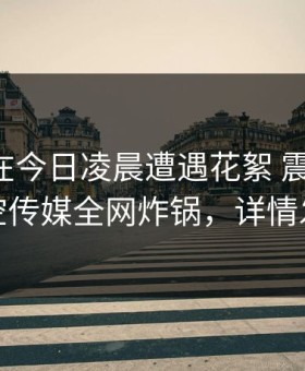 圈内人在今日凌晨遭遇花絮 震撼人心，星空传媒全网炸锅，详情发现