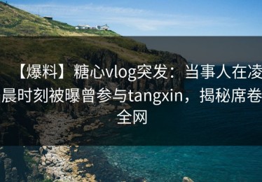 【爆料】糖心vlog突发：当事人在凌晨时刻被曝曾参与tangxin，揭秘席卷全网