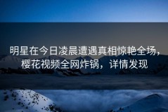 明星在今日凌晨遭遇真相惊艳全场，樱花视频全网炸锅，详情发现
