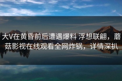 大V在黄昏前后遭遇爆料 浮想联翩，蘑菇影视在线观看全网炸锅，详情深扒