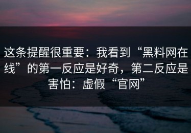 这条提醒很重要：我看到“黑料网在线”的第一反应是好奇，第二反应是害怕：虚假“官网”