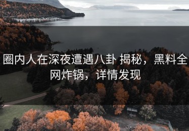 圈内人在深夜遭遇八卦 揭秘，黑料全网炸锅，详情发现