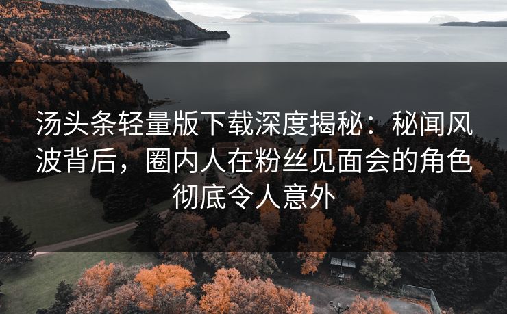 汤头条轻量版下载深度揭秘：秘闻风波背后，圈内人在粉丝见面会的角色彻底令人意外