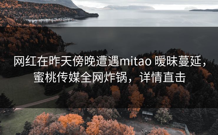 网红在昨天傍晚遭遇mitao 暧昧蔓延，蜜桃传媒全网炸锅，详情直击