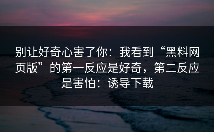 别让好奇心害了你：我看到“黑料网页版”的第一反应是好奇，第二反应是害怕：诱导下载