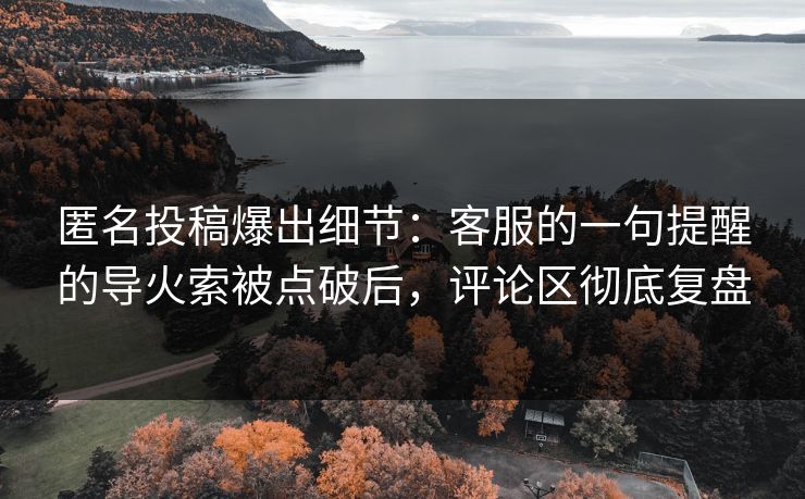匿名投稿爆出细节:客服的一句提醒的导火索被点破后,评论区彻底复盘 匿名投稿爆出细节:客服的一句提醒的导火索被点破后,评论区彻底复盘