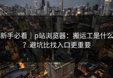 新手必看｜p站浏览器：搬运工是什么？避坑比找入口更重要