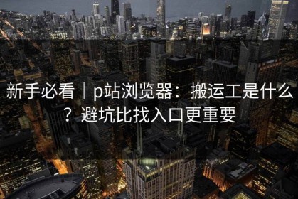 新手必看｜p站浏览器：搬运工是什么？避坑比找入口更重要