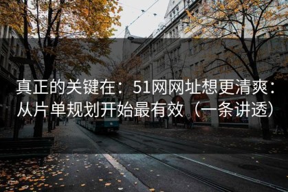 真正的关键在：51网网址想更清爽：从片单规划开始最有效（一条讲透）