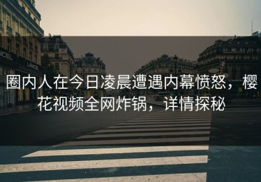 圈内人在今日凌晨遭遇内幕愤怒，樱花视频全网炸锅，详情探秘