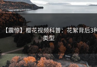 【震惊】樱花视频科普：花絮背后3种类型