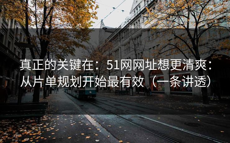 真正的关键在：51网网址想更清爽：从片单规划开始最有效（一条讲透）