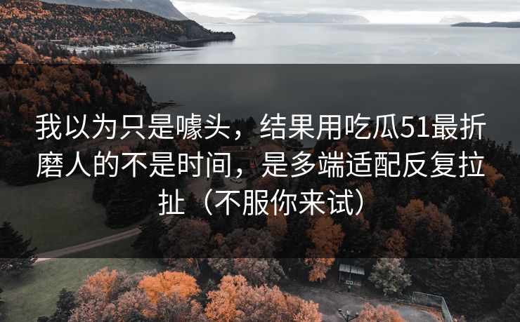 我以为只是噱头，结果用吃瓜51最折磨人的不是时间，是多端适配反复拉扯（不服你来试）