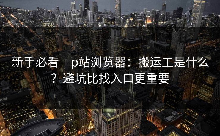 新手必看｜p站浏览器：搬运工是什么？避坑比找入口更重要